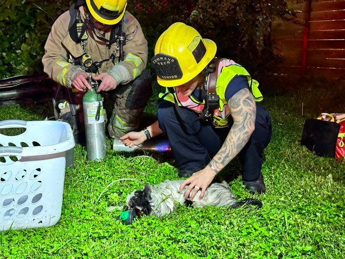 Firefighters responded to a house fire late Monday night in east Austin, rescuing one person and three cats