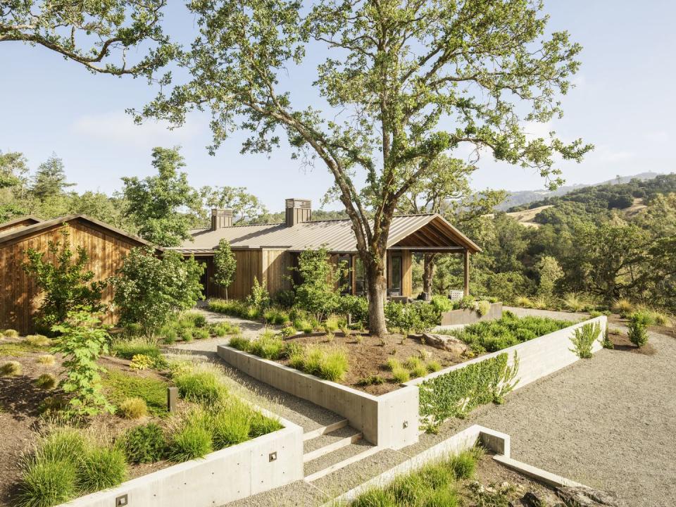 a house with a large tree in the front