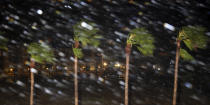 <p>Rain is blown past palm trees as Hurricane Harvey makes landfall, Friday, Aug. 25, 2017, in Corpus Christi, Texas. Harvey intensified into a hurricane Thursday and steered for the Texas coast with the potential for up to 3 feet of rain, 125 mph winds and 12-foot storm surges in what could be the fiercest hurricane to hit the United States in almost a dozen years. (Photo: Eric Gay/AP) </p>