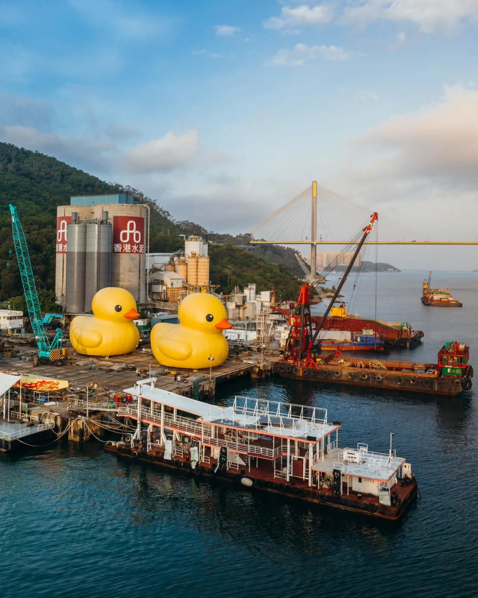 巨型橡皮鴨上月突然現身香港，今次更成雙成對出現在青衣海域，令市民大感驚喜。（官方圖片）