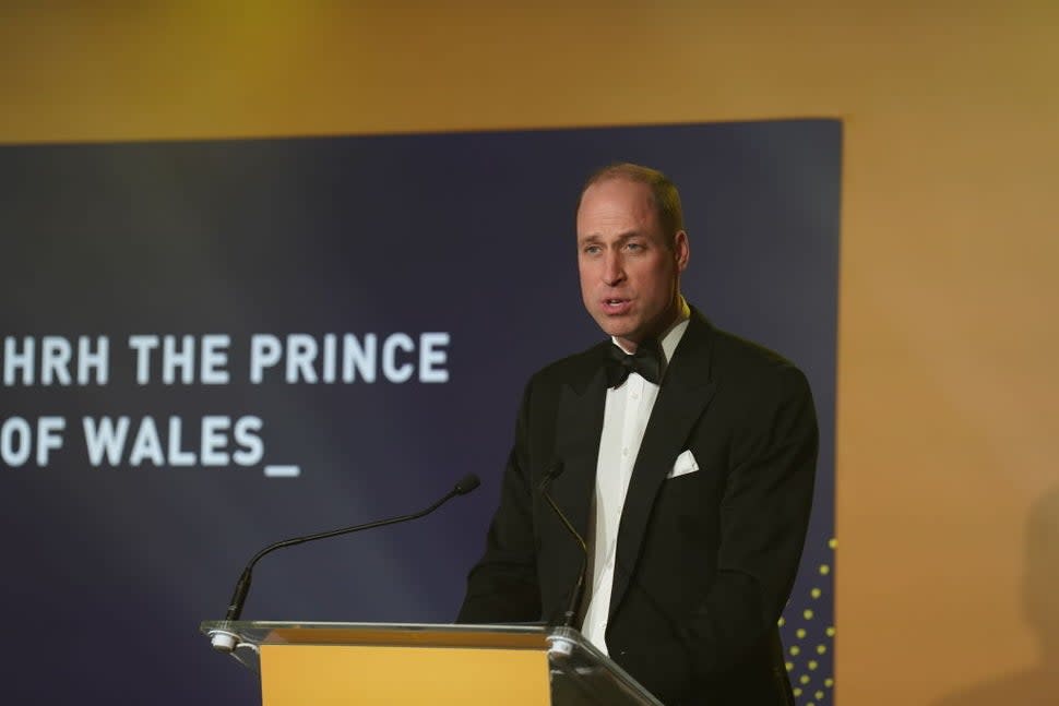 Prince William at the Diana Awards