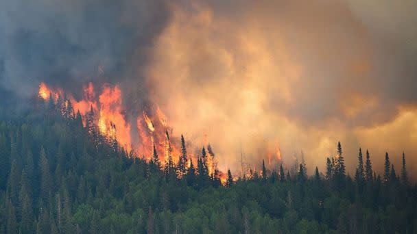 PHOTO: Flames reach upwards along the edge of a wildfire as seen from a Canadian Forces helicopter surveying the area near Mistissini, Quebec, Canada, June 12, 2023. (CPL Marc-Andre Leclerc/Canadian Forces via Reuters)