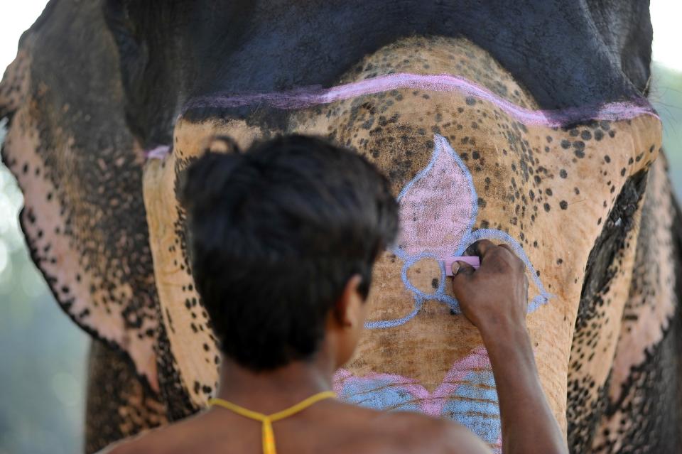 A mahout decorates his elephant in Sauhara, Chitwan, Nepal