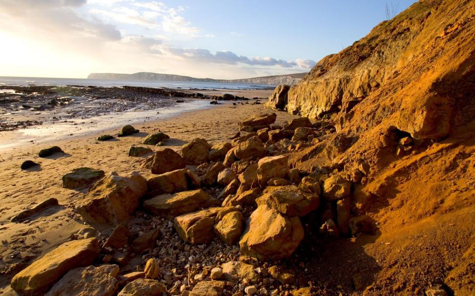 So far, twenty fossil dinosaur species have been found on the Isle of Wight