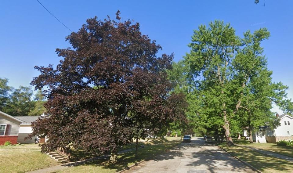 A Google Street View image taken before the tree-cutting shows part of the St. Vincent Street tree canopy looking west from Hill Street.