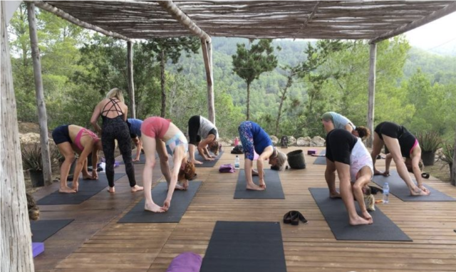 Get a free 7-day fitness pass at TFX plus yoga retreats around the