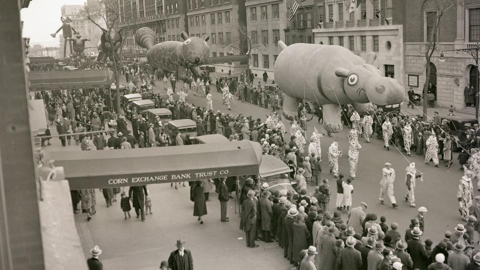 hippo balloon in macy's thanksgiving parade