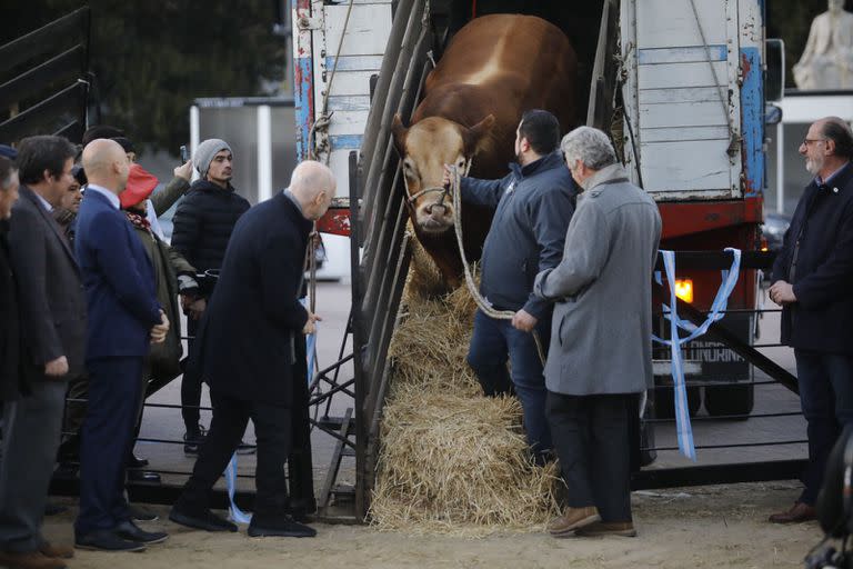 134ª Exposición de Ganadería, Agricultura e Industria Internacional. El primer animal ingresó hoy a las 8 al predio de la Sociedad Rural.