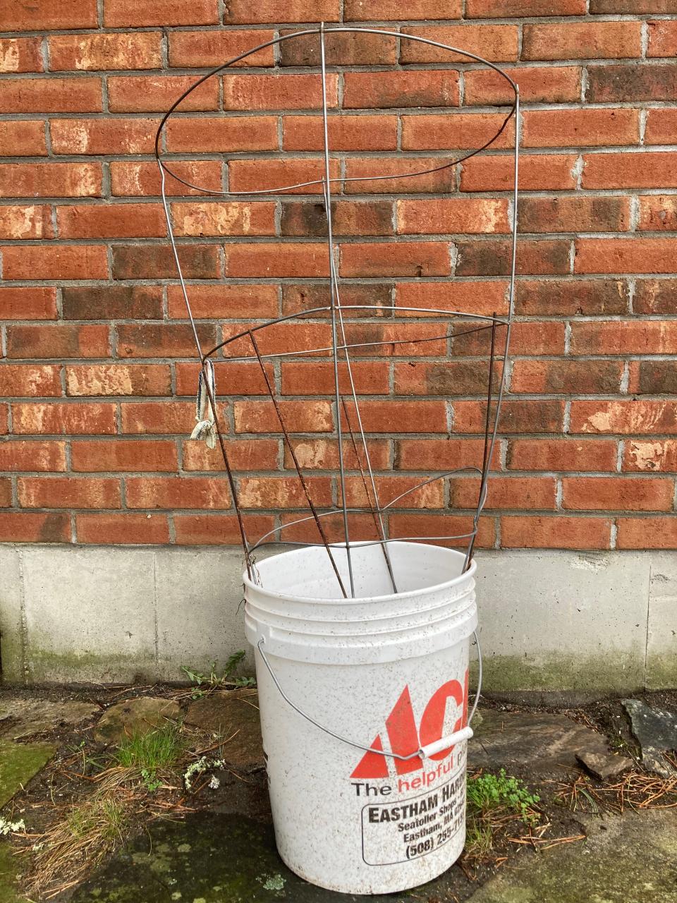 Here is my tomato-growing bucket setup. First drill drainage holes in the bottom of the bucket, then fold in a tomato cage and you're ready to go!