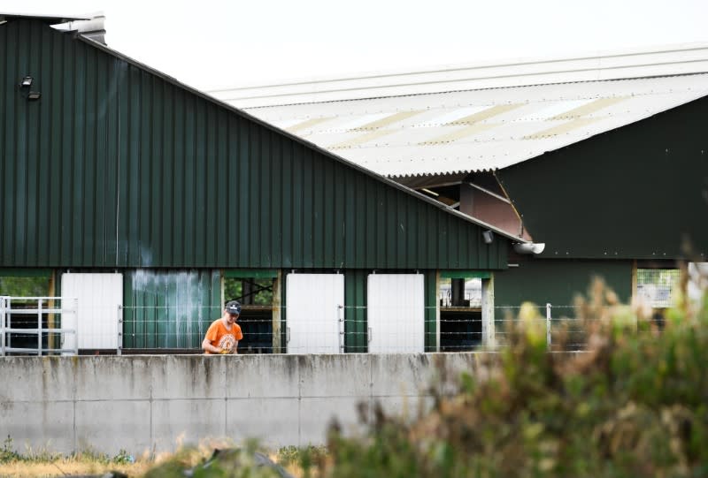 A mink farm is seen during the coronavirus disease (COVID-19) outbreak in De Mortel