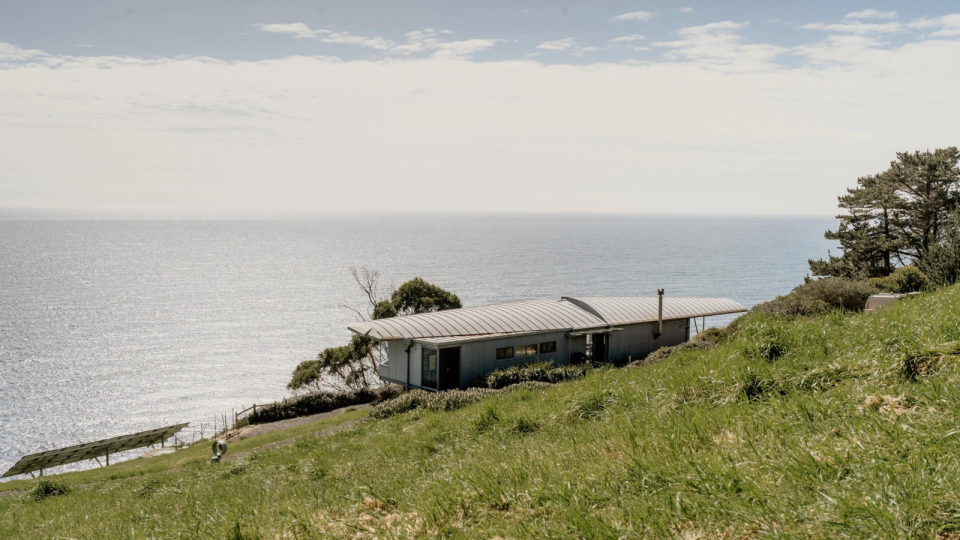 Winged House Airbnb exterior