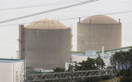 The Kori No. 1 reactor (R) and No. 2 reactor of state-run utility Korea Electric Power Corp (KEPCO) are seen in Ulsan, about 410 km (255 miles) southeast of Seoul in this September 3, 2013 file photo. REUTERS/Lee Jae-Won/Files