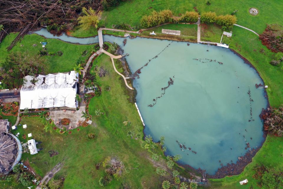 Warm Mineral Springs Park in North Port as seen on Nov. 18, 2022, after Hurricane Ian. The water  in the springs have since been tested safe. The North Port City Commission voted on Dec. 8 to give a 90-day notice of termination to National and State Park Concessions. The city will reopen the park itself on a temporary basis, with a target date of April 29, until a public-private partnership can be negotiated.