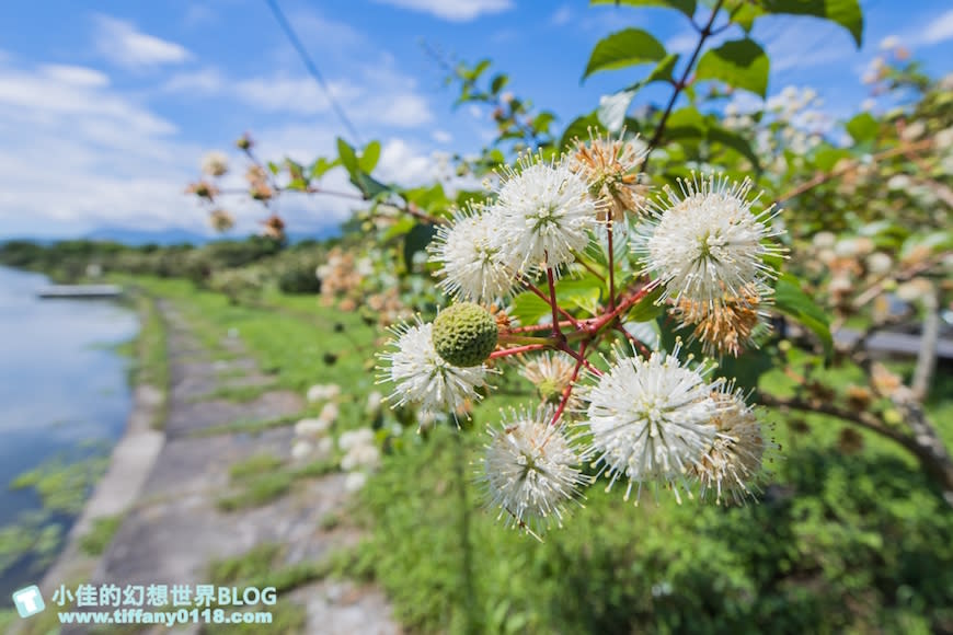 宜蘭｜冬山河休閒農業區