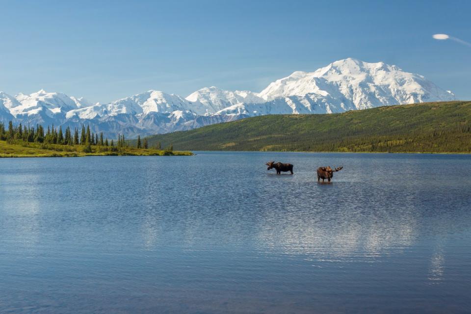 Denali National Park takes its name from its highest peak (Getty Images/iStockphoto)