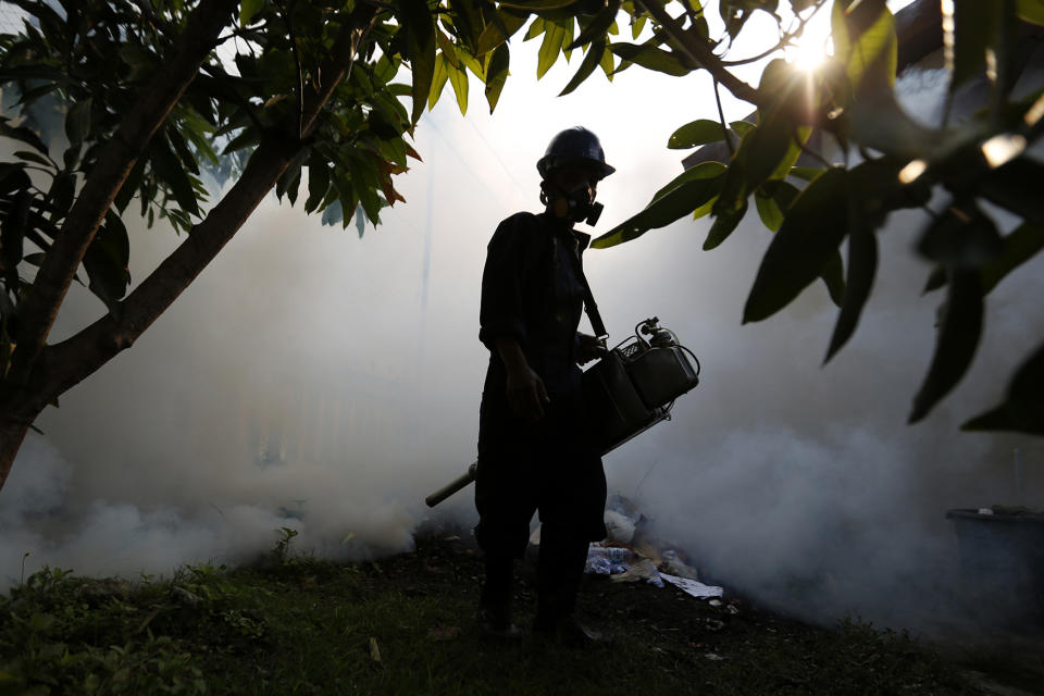 Cases of infection of the zika virus confirmed in several South East Asian counties