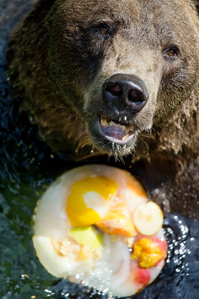 Rome's Bioparco zoo