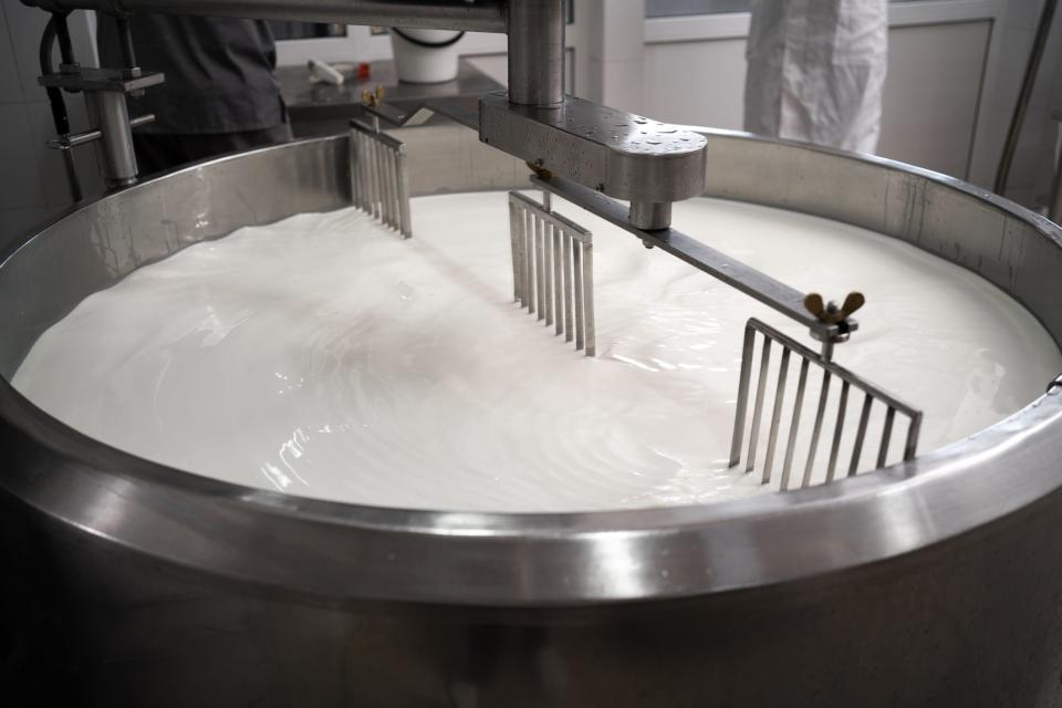 Part of the process of making dairy products in modern dairy factory is pasteurization, or the heating of milk to kill bacteria.