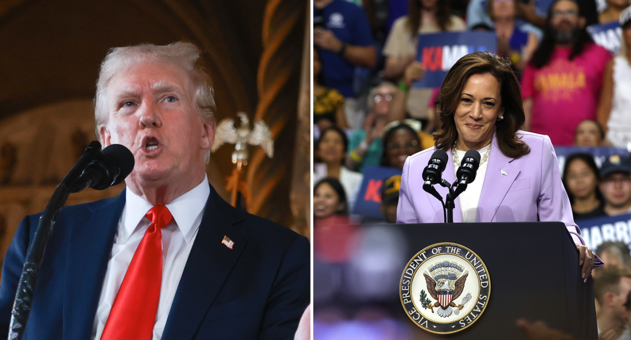 Kamala Harris is the betting favourite as the US presidential race takes on a new flavour. Source: Getty