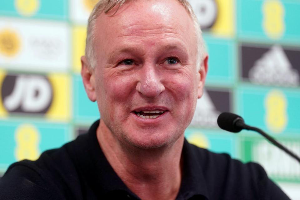 Michael O’Neill has his sights set on reaching another European Championship (Brian Lawless/PA) (PA Wire)