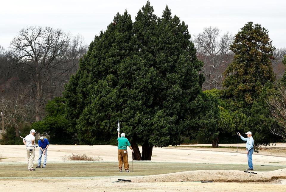 Golfers take part in a seniors tournament at Audubon Golf Course.