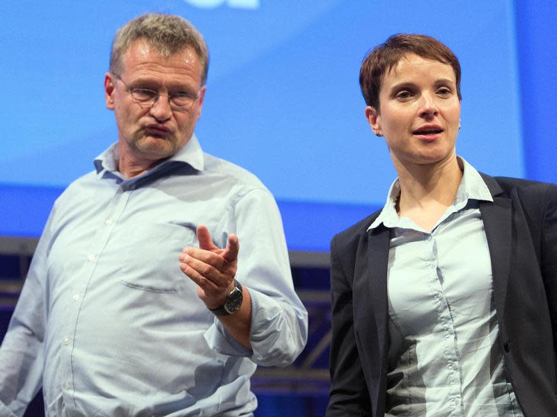 Das neu gewählte Führungsduo der AfD: Frauke Petry und der Co-Vorsitzende Jörg Meuthen. Foto: Federico Gambarini