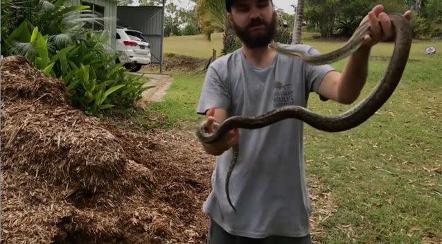 The reptile's hide-and-seek skills were no match for the expert, who was able to move the reptile and her clutch of eggs from their hiding place with minimal fuss. Source: Sunshine Coast Snake Catchers 24/7