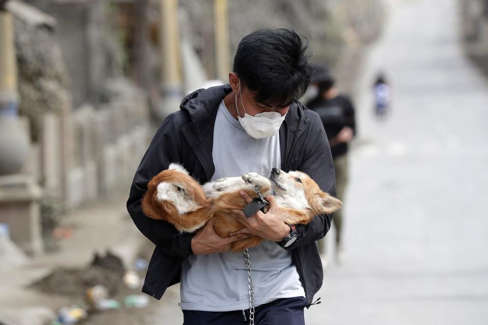 An animal volunteer carries a dog he rescued from deserted homes near Taal volcano as residents evacuated to safer grounds leaving some of their pets behind in Talisay, Batangas province, southern Philippines on Wednesday Jan.15, 2020.