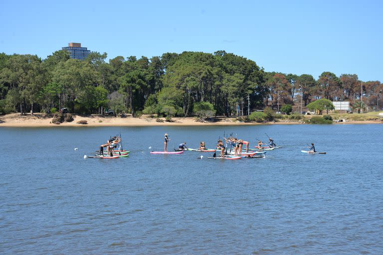 Stand up Paddle Yoga, el deporte que se volvió tendencia en un verano atípico en Punta del Este