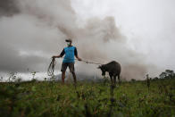 <p>A farmer gets his calf to bring to the nearest evacuation centre after Mayon Volcano spews ashes in Camalig, Albay province, Philippines, Jan.17, 2018. (Photo: Stringer/Reuters) </p>