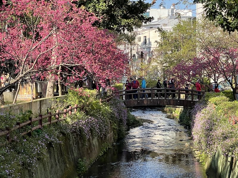 桃園中壢｜莒光公園