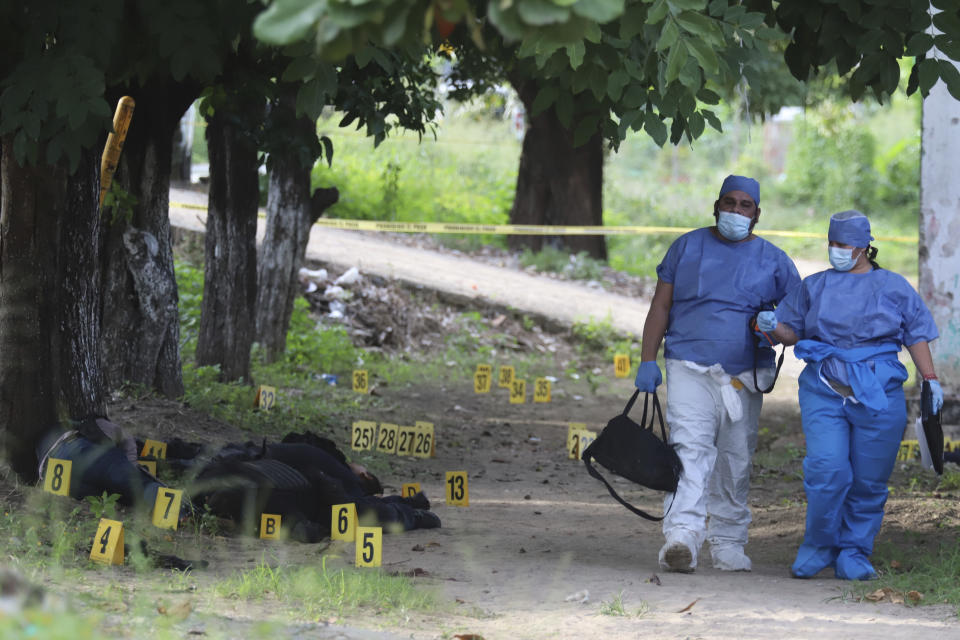 Mexican police investigators work at the scene of slain police officers lying on the ground in El Papayo, Coyuca de Benitez municipality, Guerrero state, Mexico, Monday, Oct. 23, 2023. Twelve police officers and their boss were gunned down on Monday, according to the Guerrero state prosecutor's office. (AP Photo/Bernardino Hernandez)