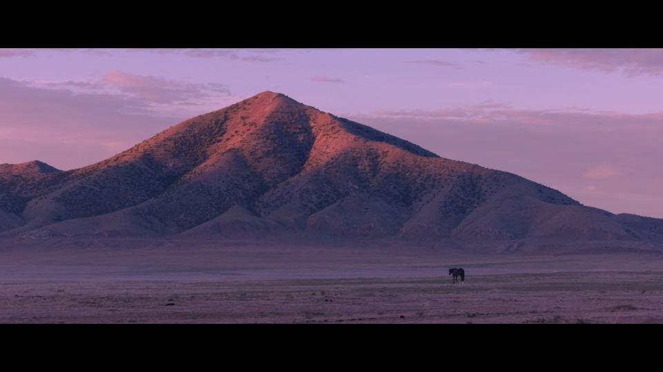 'Wild Beauty: Mustang Spirit of the West'