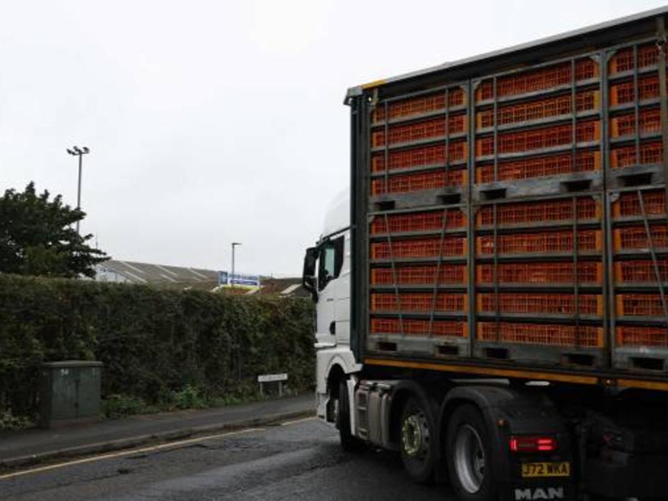 A lorry loaded with poultry in Hereford, where intensive farming is blamed for pollution to the Wye (AFP via Getty Images)