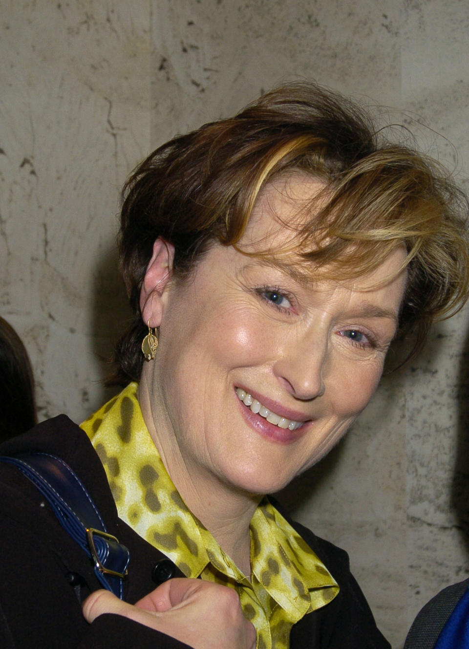 Watch Meryl Streep Slowly Change Each Year In One Delightful Picture After Another