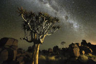 Marsel van Oosten, winner of the Wild Planet category, captures a stunning Namibian landscape (Travel Photographer of the Year)