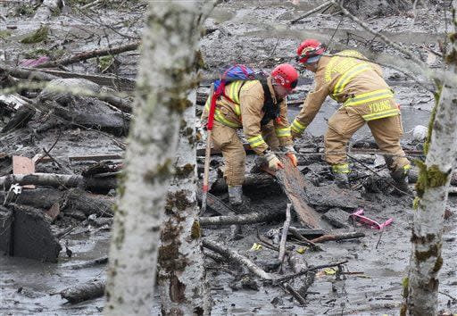 Snohomish County Technical Rescue workers clear bits of plywood and debris from the mud at the west side of the mudslide on Highway 530 near mile marker 37 on Sunday, March 30, 2014, in Arlington, Wash. Periods of rain and wind have hampered efforts the past two days, with some rain showers continuing today. (AP Photo/Rick Wilking, Pool)