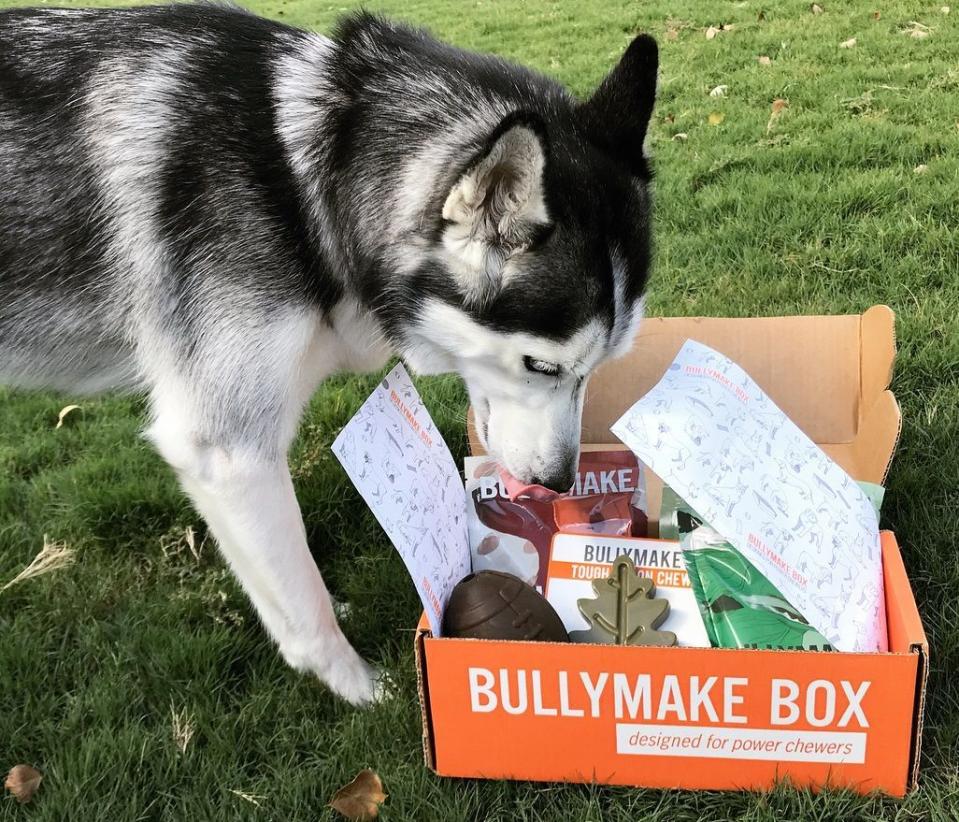 9) Bullymake Box