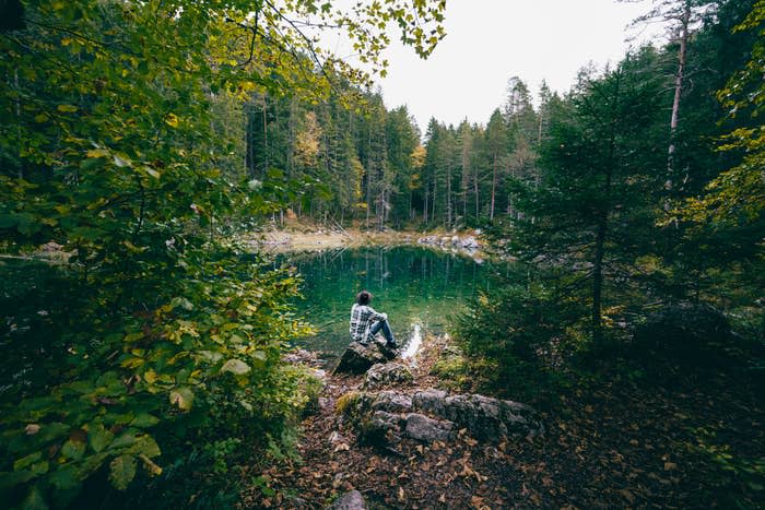 Person sits on a rocky shore, facing a serene forest lake with dense trees in the background, surrounded by lush greenery