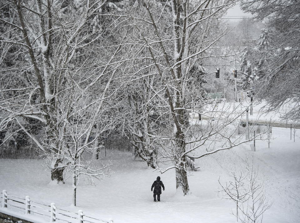 A person takes in the snow covered trees next to the Rideau Canal Western Pathway during a major snowstorm in Ottawa on Saturday, Jan. 16, 2021. (Justin Tang/The Canadian Press via AP)