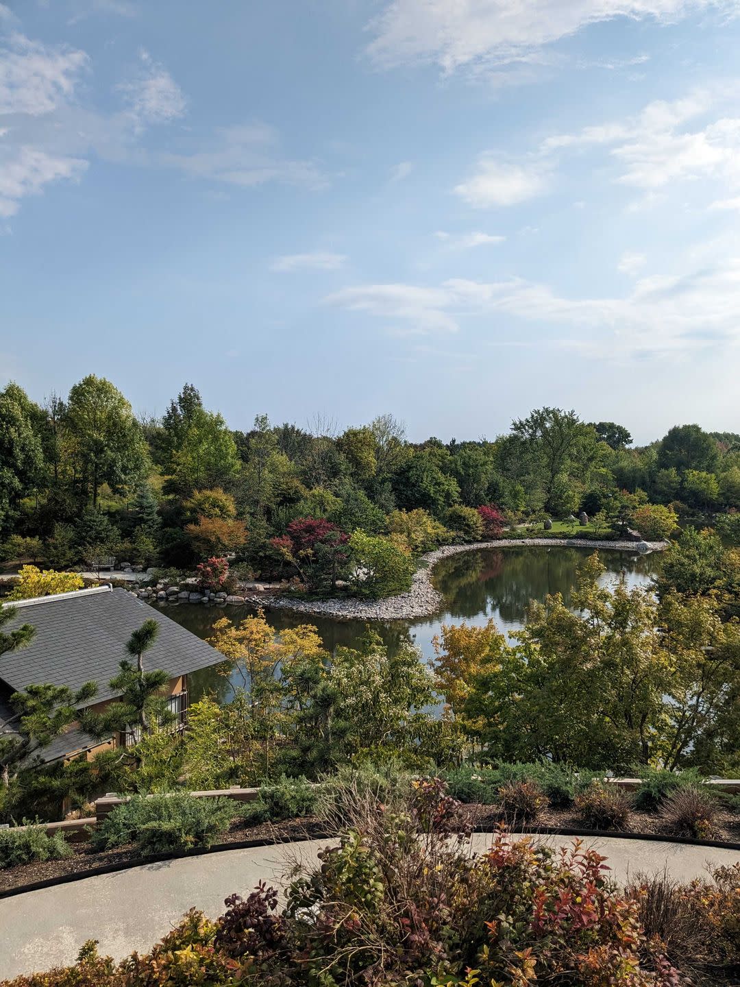 a pond surrounded by trees and bushes