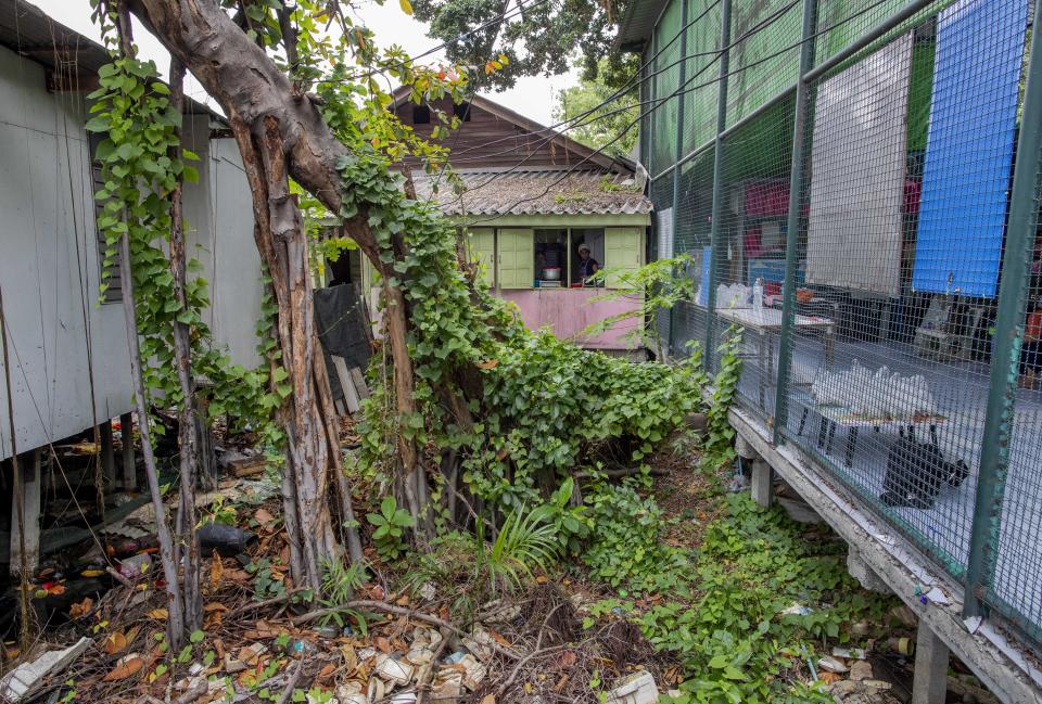 Katsane Sattapitak stands by a window as she cooks meals for school children at Makkasan preschool kitchen, constructed on a swamp adjoining a canal, in Bangkok, Thailand, Wednesday, June 24, 2020. During the third month that schools remained closed due to the coronavirus outbreak, teachers have cooked meals, assembled food parcels and distributed them to families in this community sandwiched between an old railway line and a khlong, one of Bangkok’s urban canals. (AP Photo/Gemunu Amarasinghe)