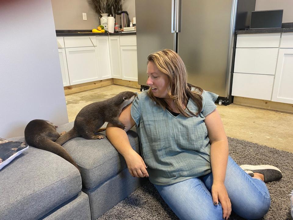 Lynn Westmeister, who owns Westmeister Farm with her husband Shawn, spends time with Sailor and River, their playful otters.