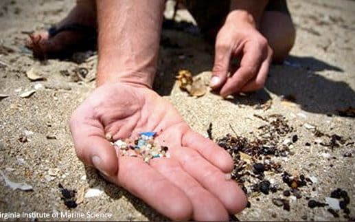 Microbreads are now found on beaches and in oceans across the world  - Virginia Institute of Marine Science