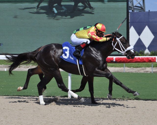 Grand Mo the First and jockey Emisael Jaramillo win a race Sept. 1 at Gulfstream Park. Granpollo Stable owns the 2024 Kentucky Derby contender.