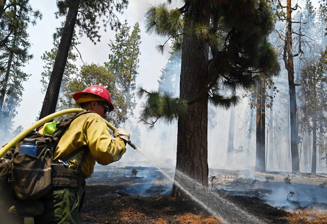 An inter-agency effort of firefighters put out fire in the forest along the northern perimeter of the Washburn Fire along Wawona Road between Wawona and the south entrance Monday, July 11, 2022 in Yosemite National Park.