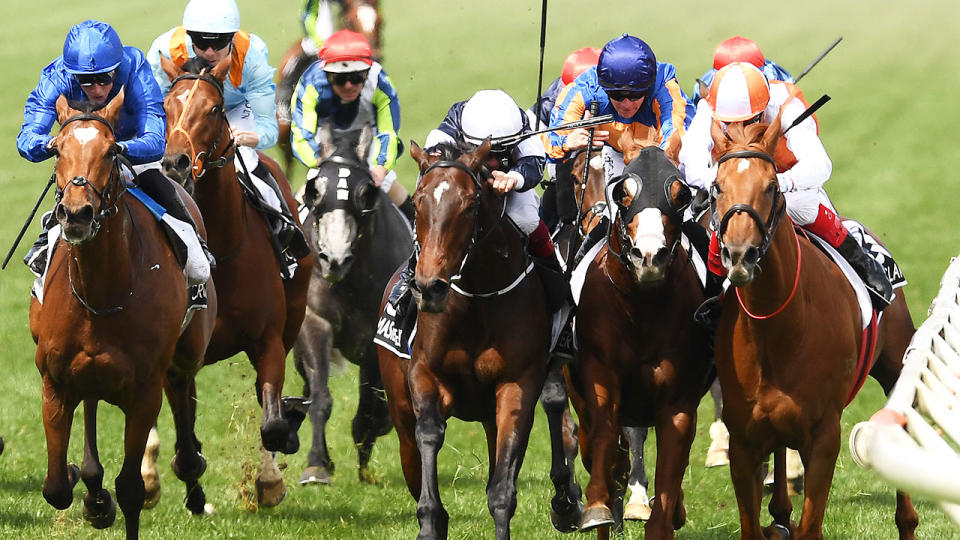 A post-race Melbourne Cup protest saw the order of the first four horses shuffle around. 