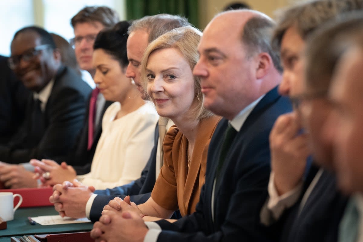 Liz Truss during a Cabinet meeting under Boris Johnson (PA Wire)