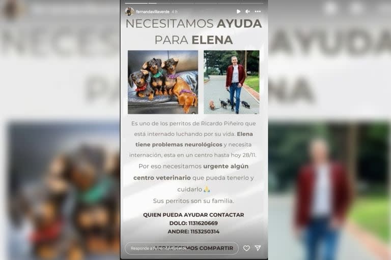 El desesperado pedido para ayudar a una de las perritas de Ricardo Piñeiro (Foto Instagram @fernandavillaverde)