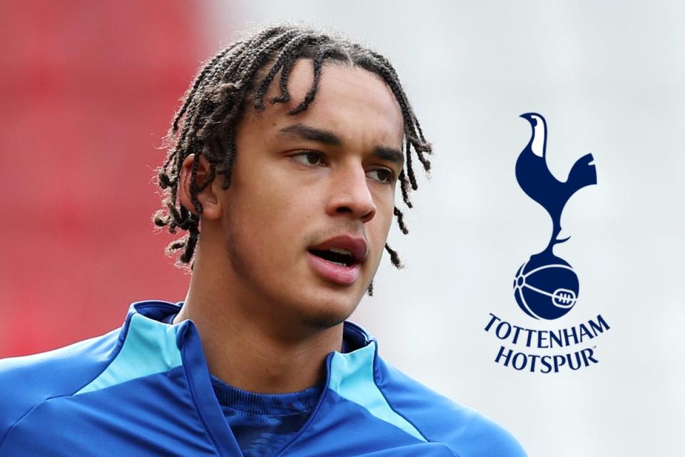 Stepping up: 18-year-old Ashley Phillips will act as cover for Tottenham at centre-back (Evening Standard)